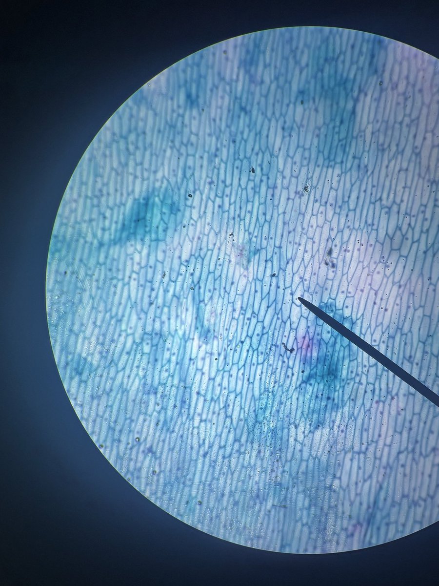 Kristi Mathis tweet media