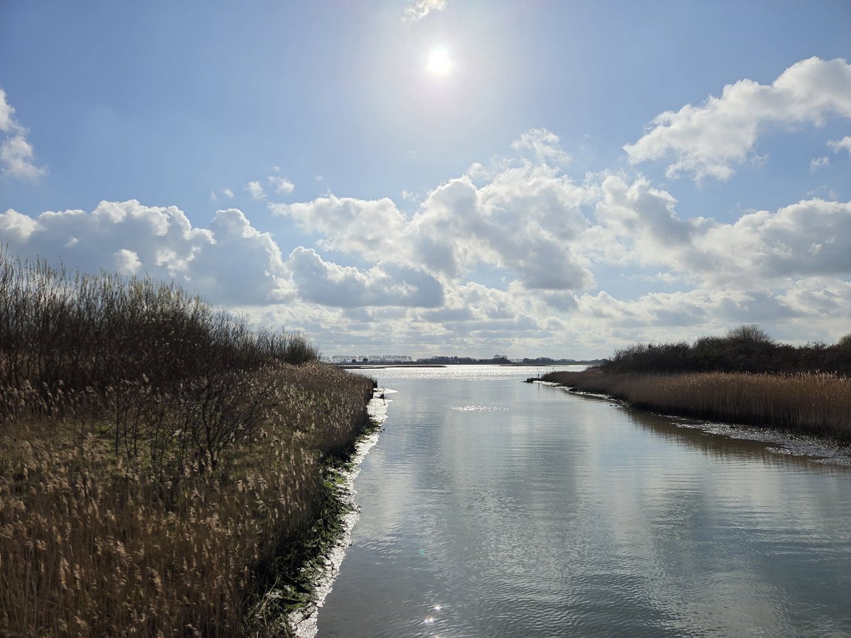 Jan-Jaap van Peperstraten tweet media