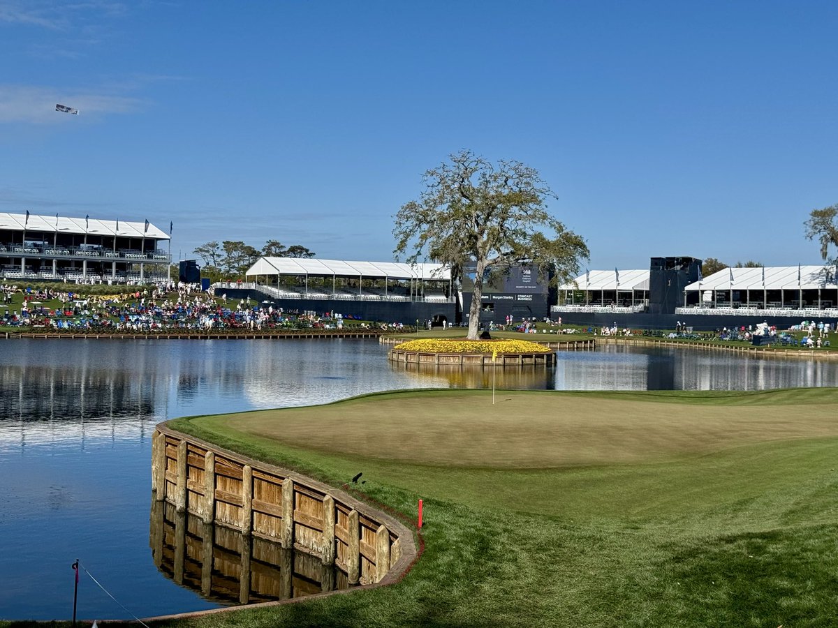 Mike O’Halloran tweet media