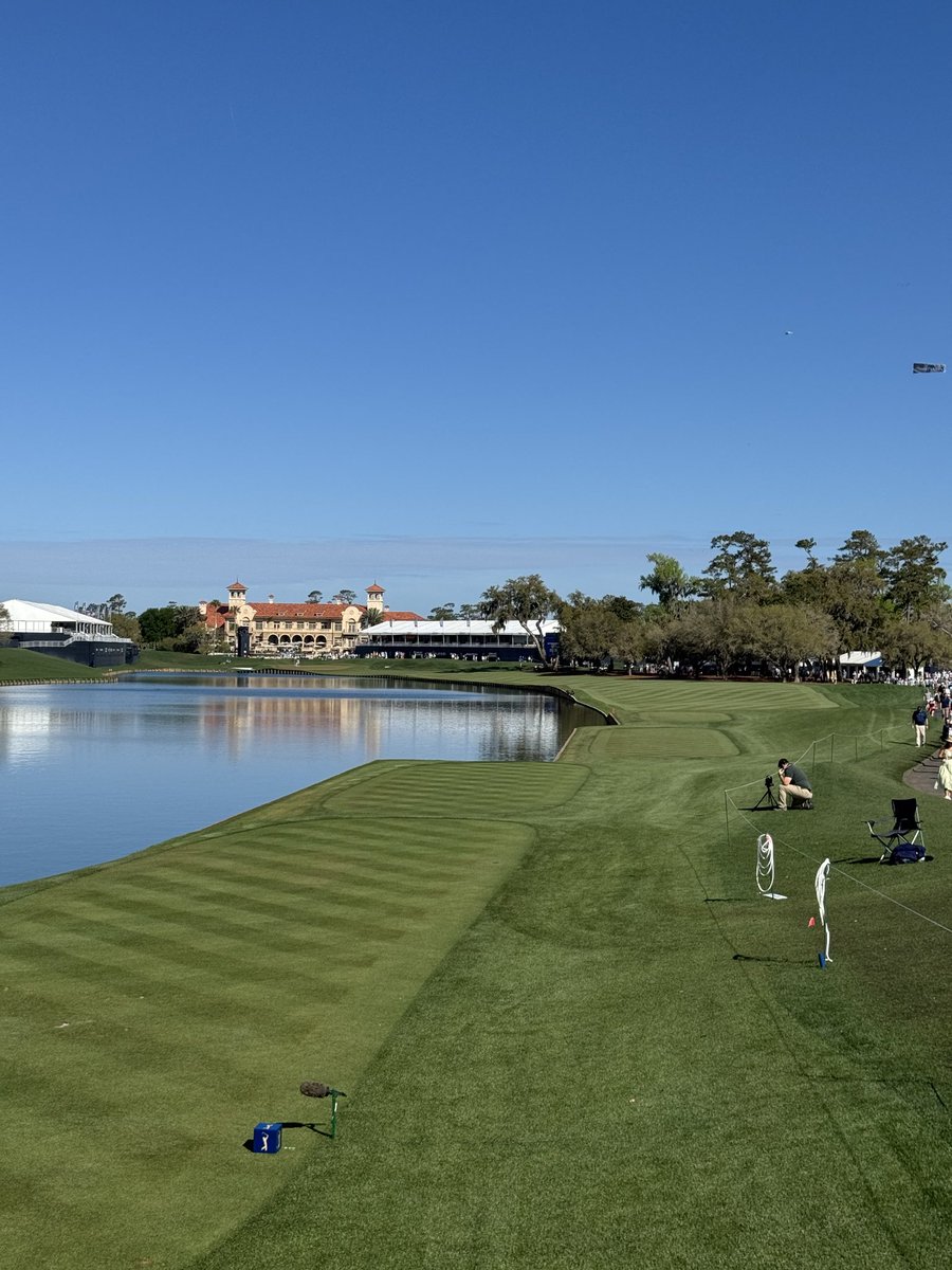 Mike O’Halloran tweet media