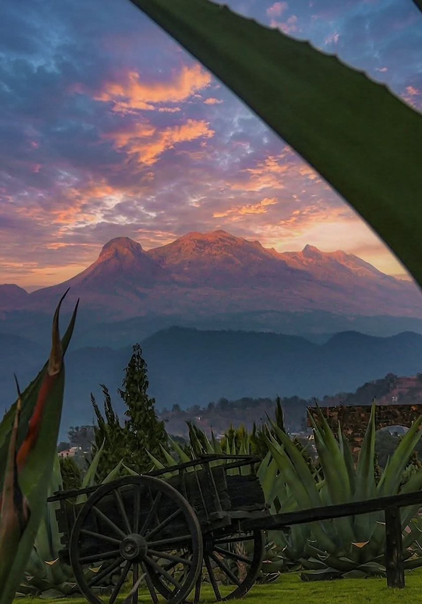 Jean-Jacques Rousseau tweet media