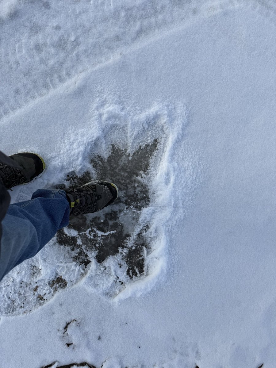 Donald Crews 🇺🇦🇮🇱🇨🇦 tweet media