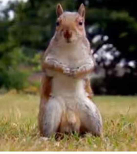 HeyHoEatPie's tweet photo. if this guy doesnt make it onto a bank note i'll be disappointed #bakeoff #banknote https://t.co/AWGngSBT3l