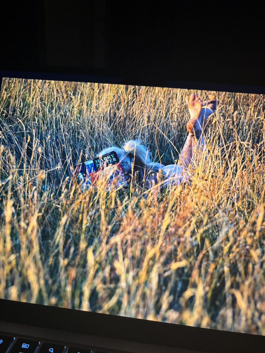 Shaked🦌 tweet media