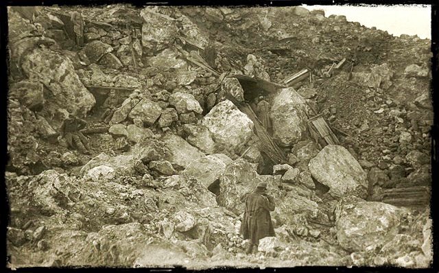 Tom Isitt 🐝 tweet media