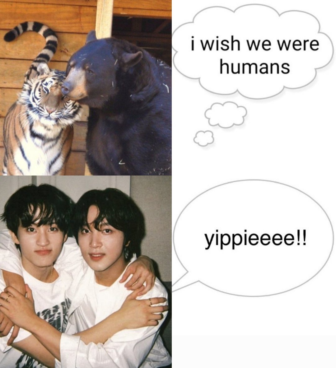 💙 (@remmiediary) on Twitter photo 