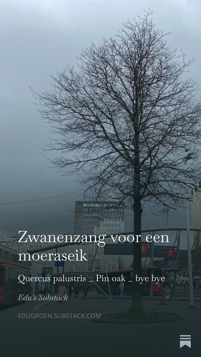 Eduard AJ Groen tweet media