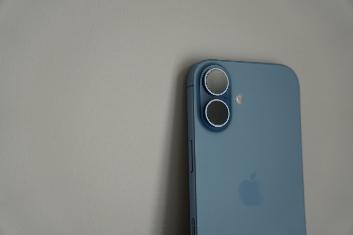 Noah Cat tweet media