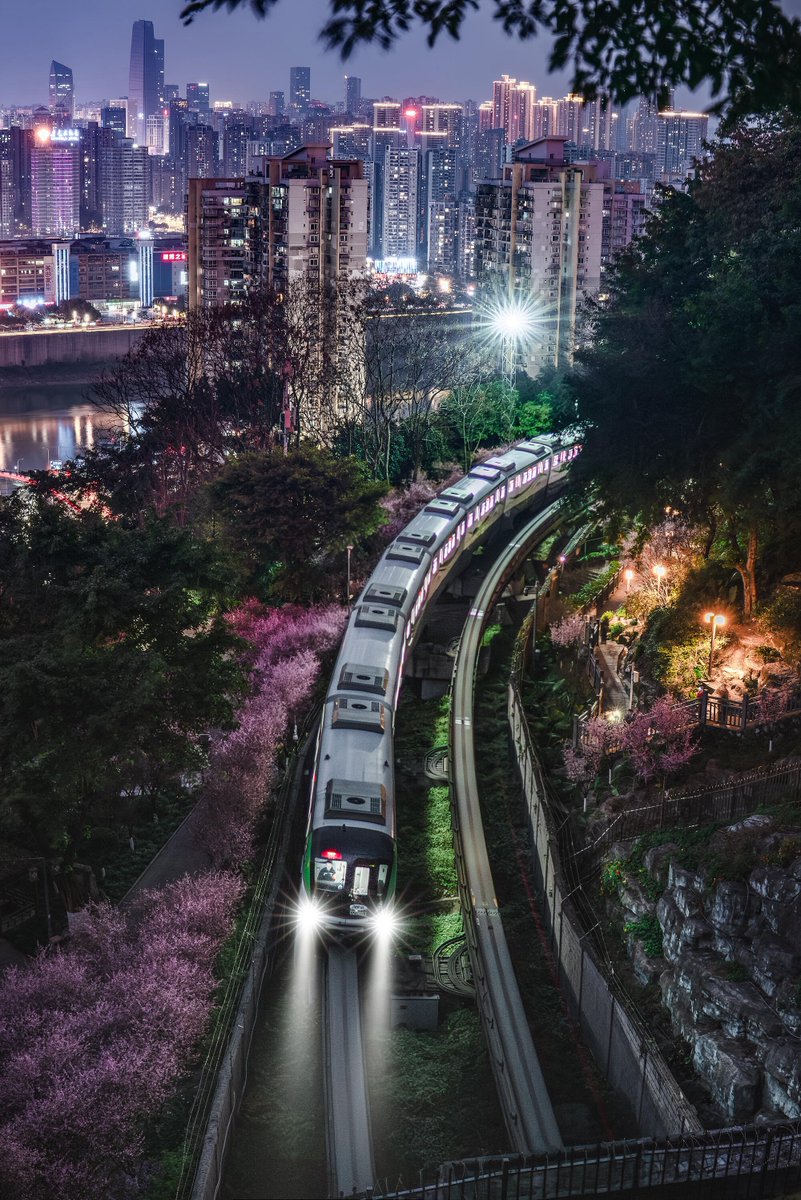 iChongqing_CIMC's tweet image. Unmissable spring train in Chongqing — night edition! 🌃🚆

📷Yunxiaojiedesheyingji
#Chongqing #NightView #SpringVibes #Monorail