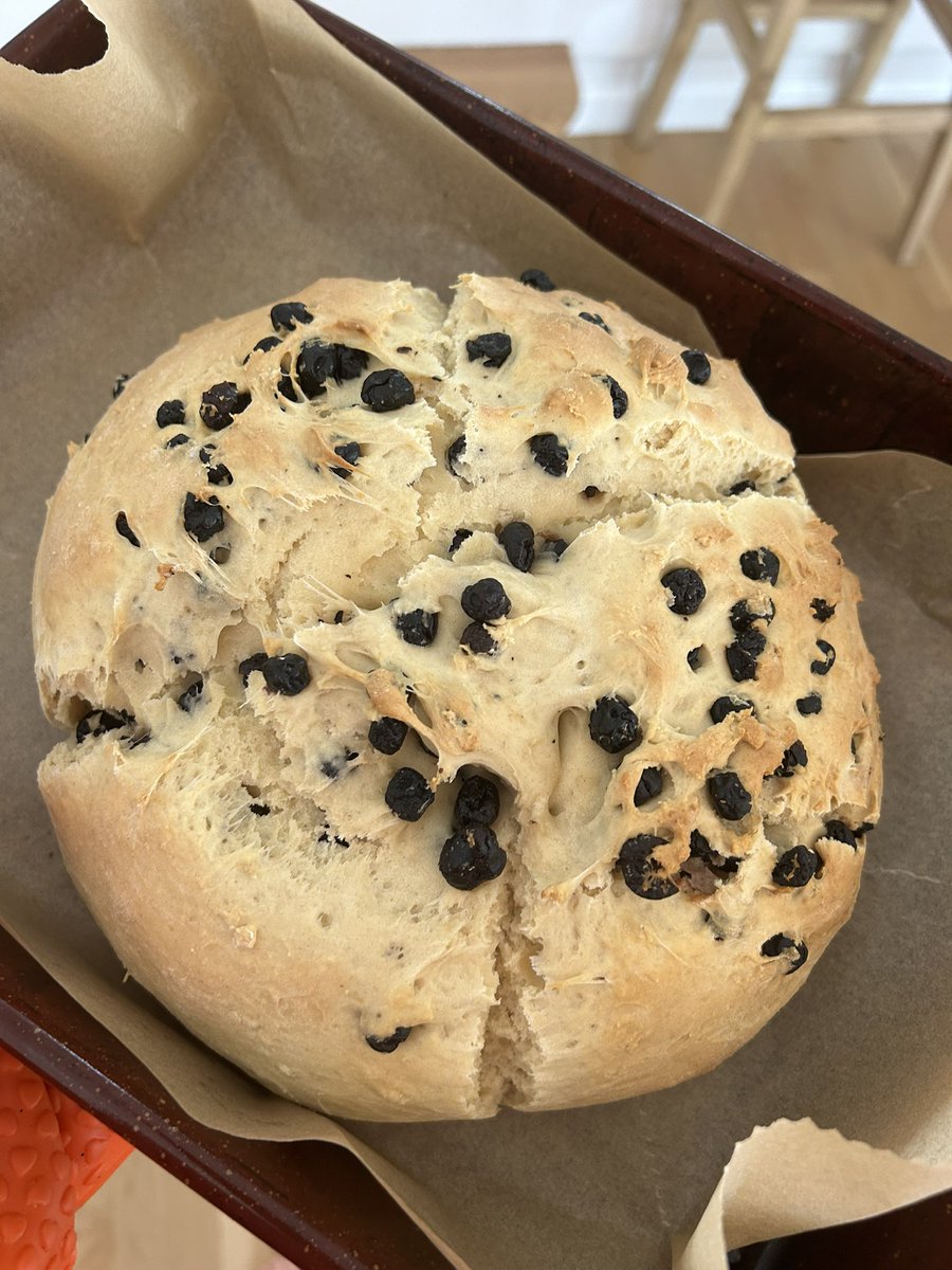 Hilary Elizabeth Margitich tweet media