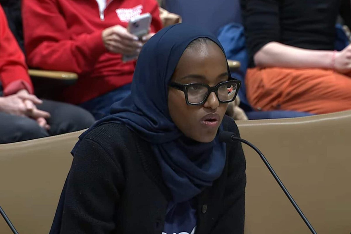 Alpha News tweet media