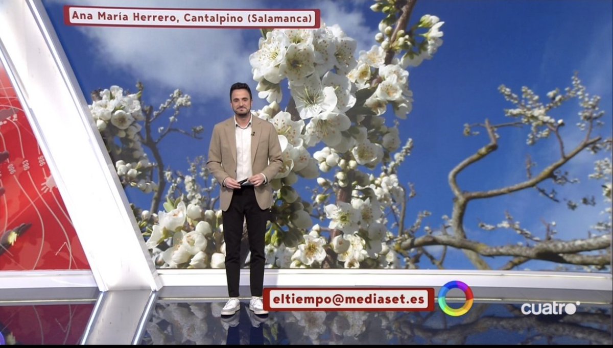 Ana María Herrero tweet media