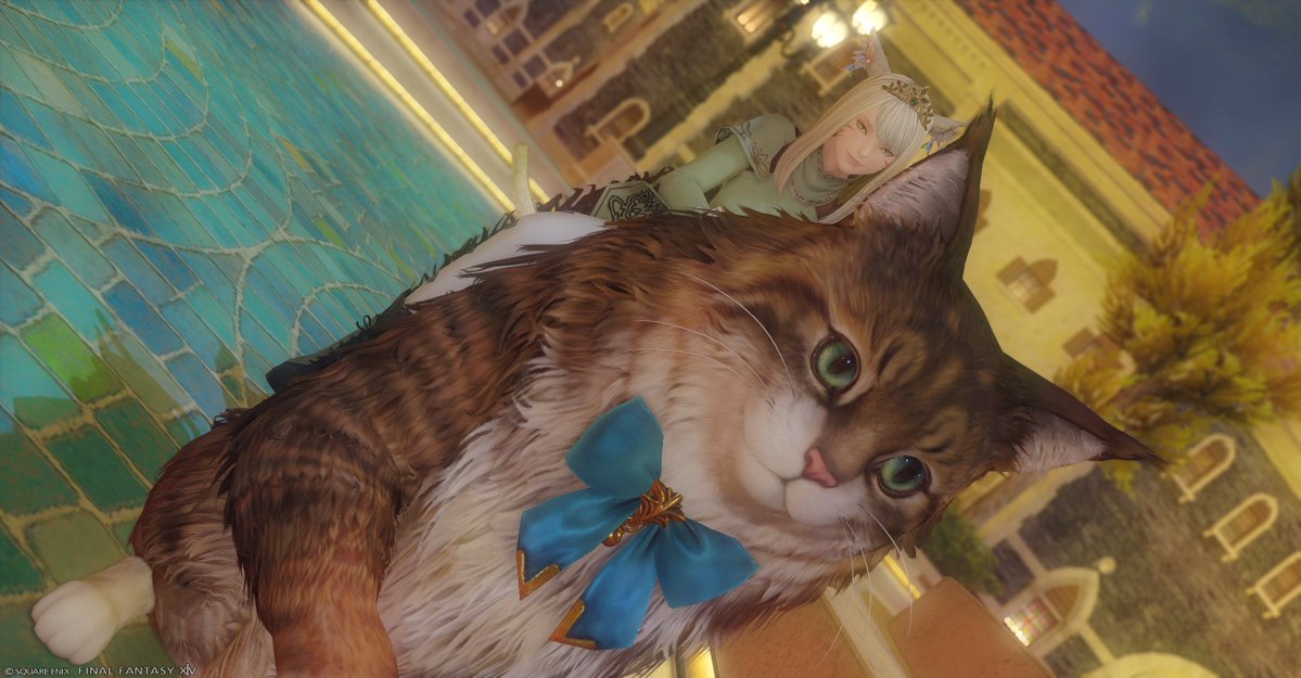 今日は誕生日～！！
もう今から最高な日なのが約束されてる……(笑)