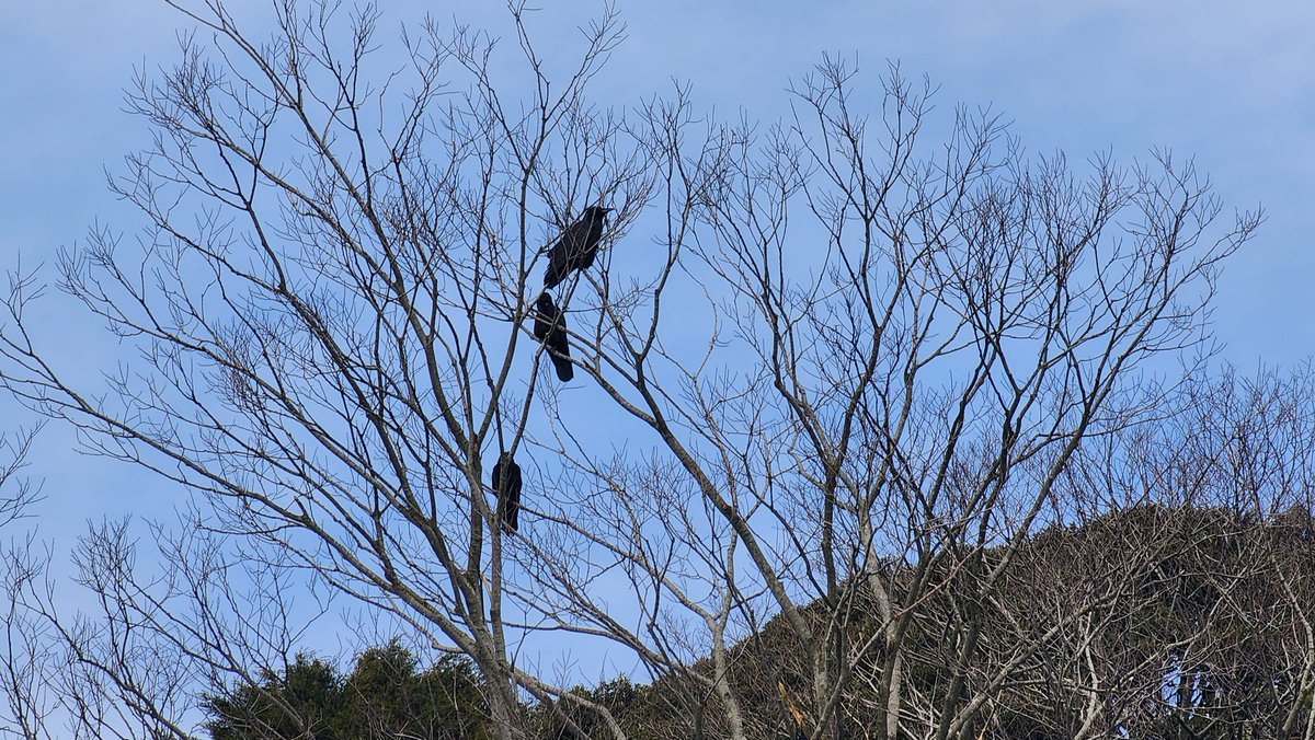 Sumino Takumi tweet media