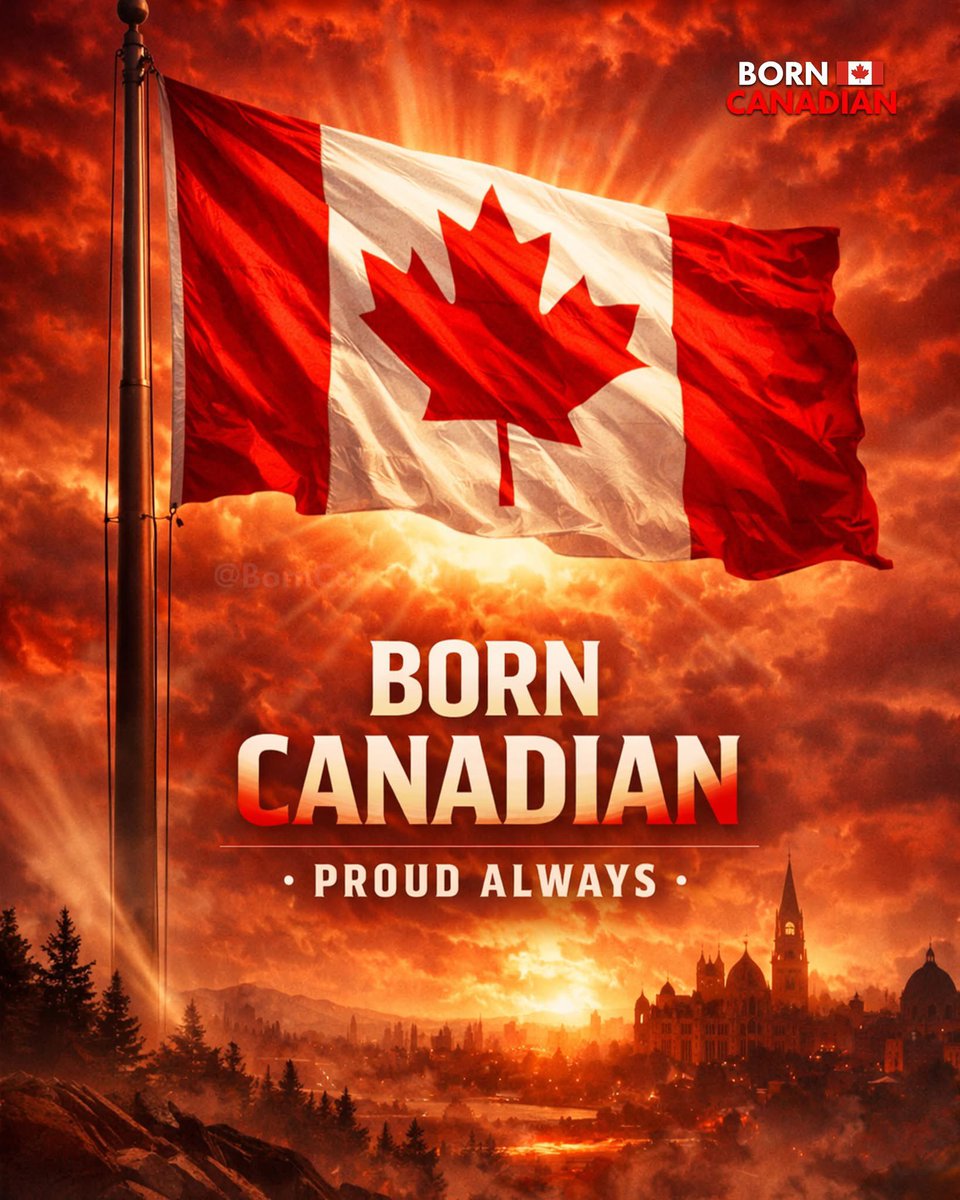 Olena Rohoza tweet media