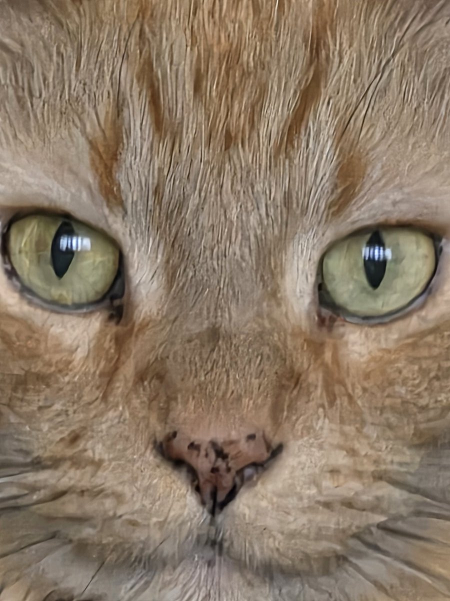 Alexander Vasilyev tweet media