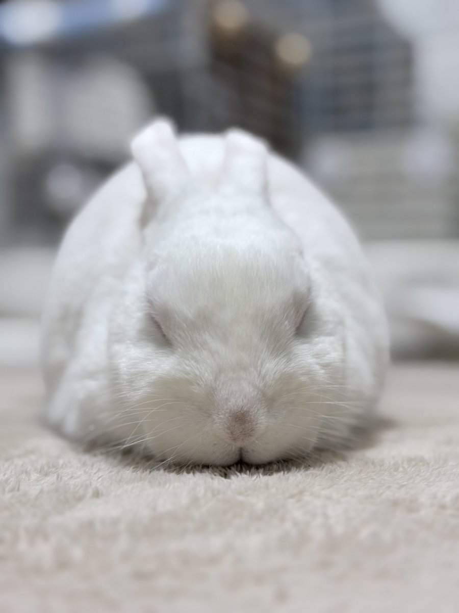 アイスが溶けた時🍦