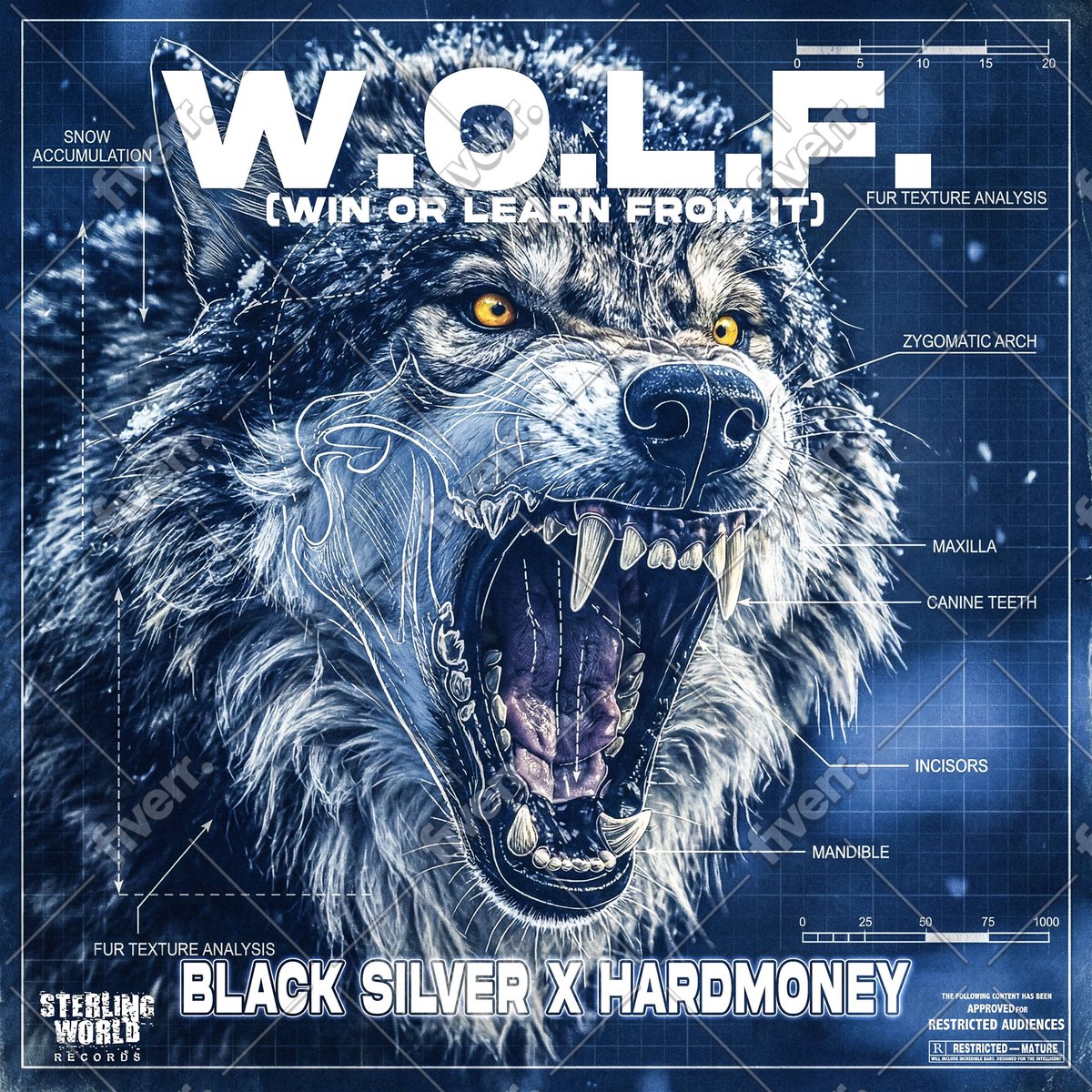 Black Silver tweet media