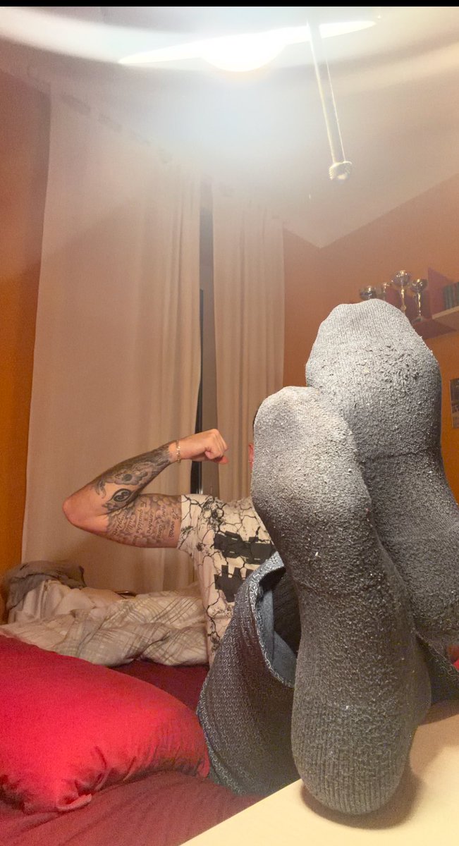 MasterMirko😘 tweet media