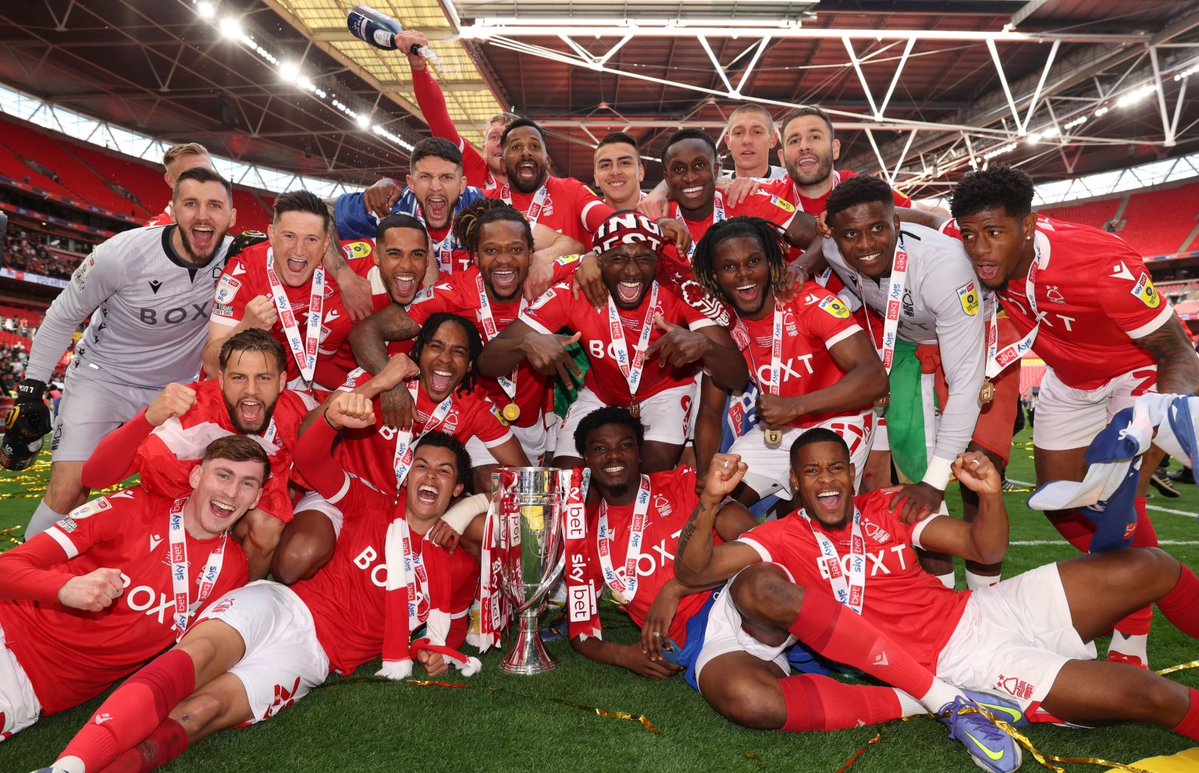 Forest Fun & Facts 🌳 tweet media