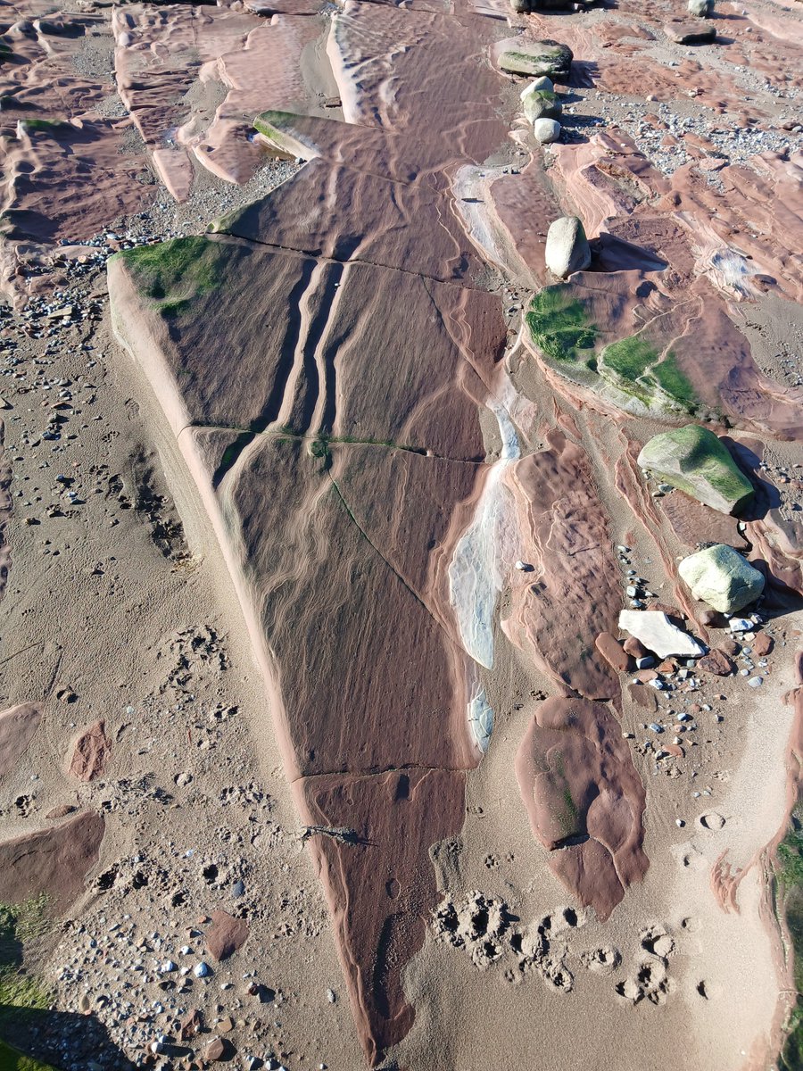 Nicholas Graham tweet media