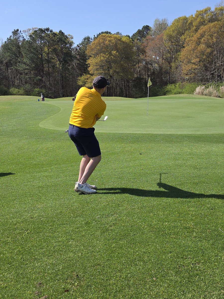 WVU Tech Golf tweet media