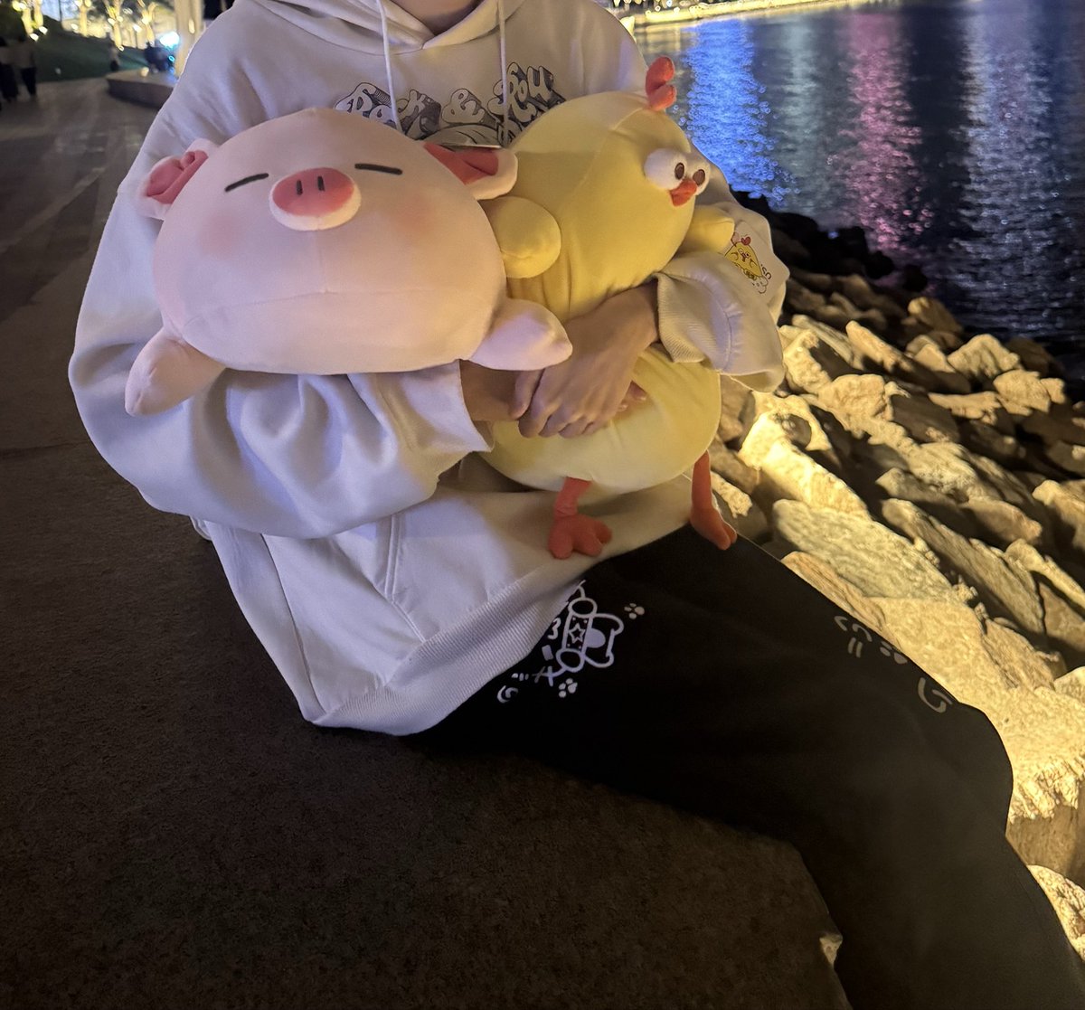 -小鹿-🦌 tweet media
