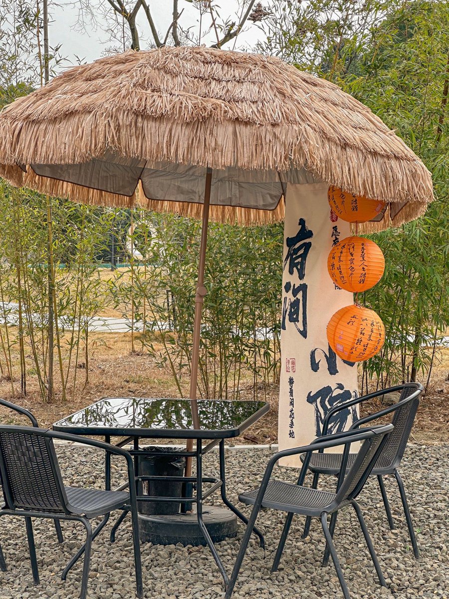 Ian Jekoven Dnuiep Assistant tweet media