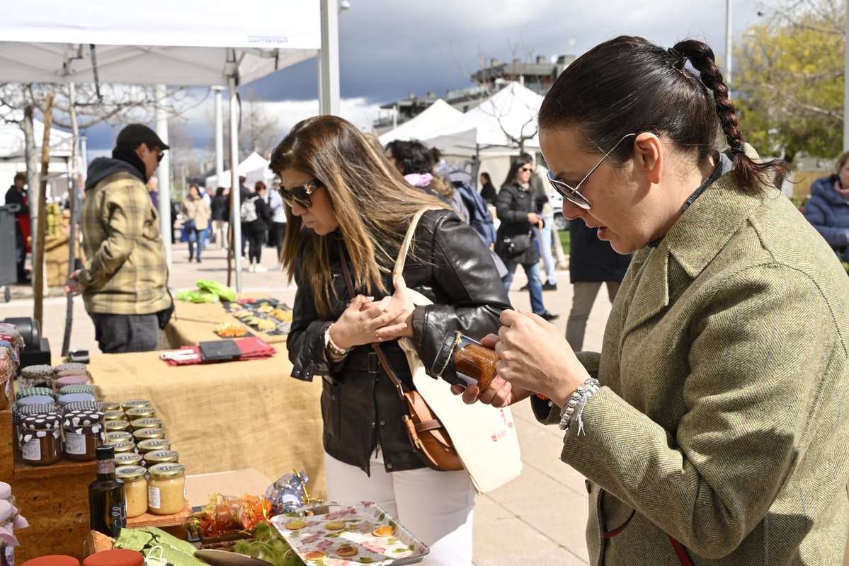 Lucía S. Fernández Alonso tweet media