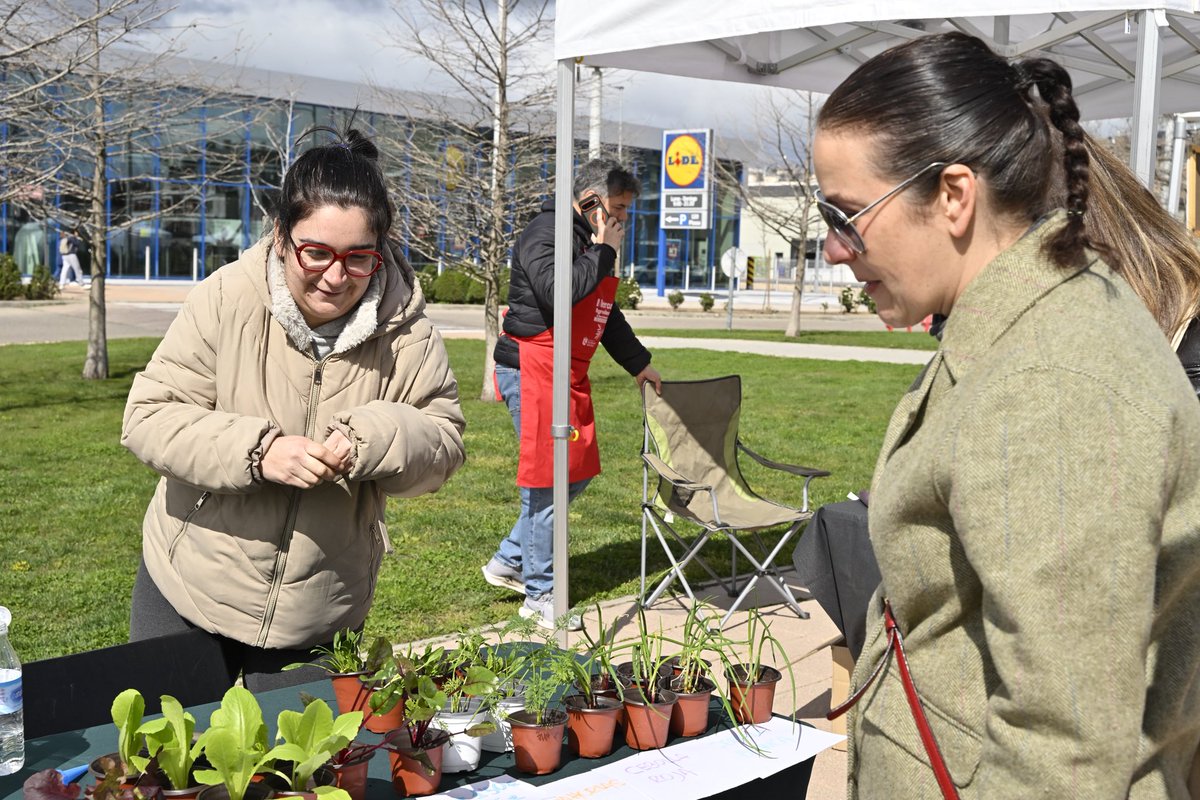 Lucía S. Fernández Alonso tweet media