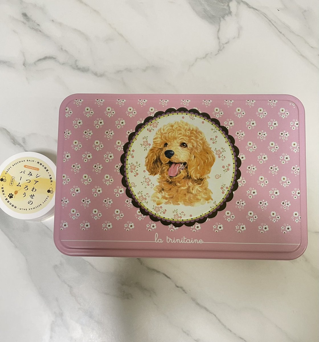 癒しの🍜Sせらぴっぴ tweet media