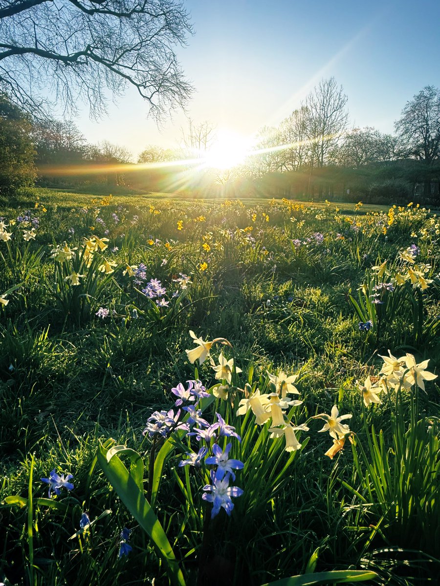 James Montgomery tweet media