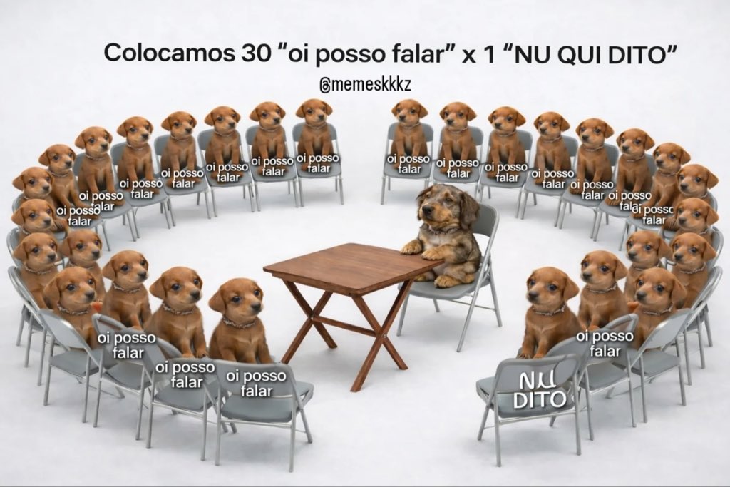 acervo doguinhos tweet media