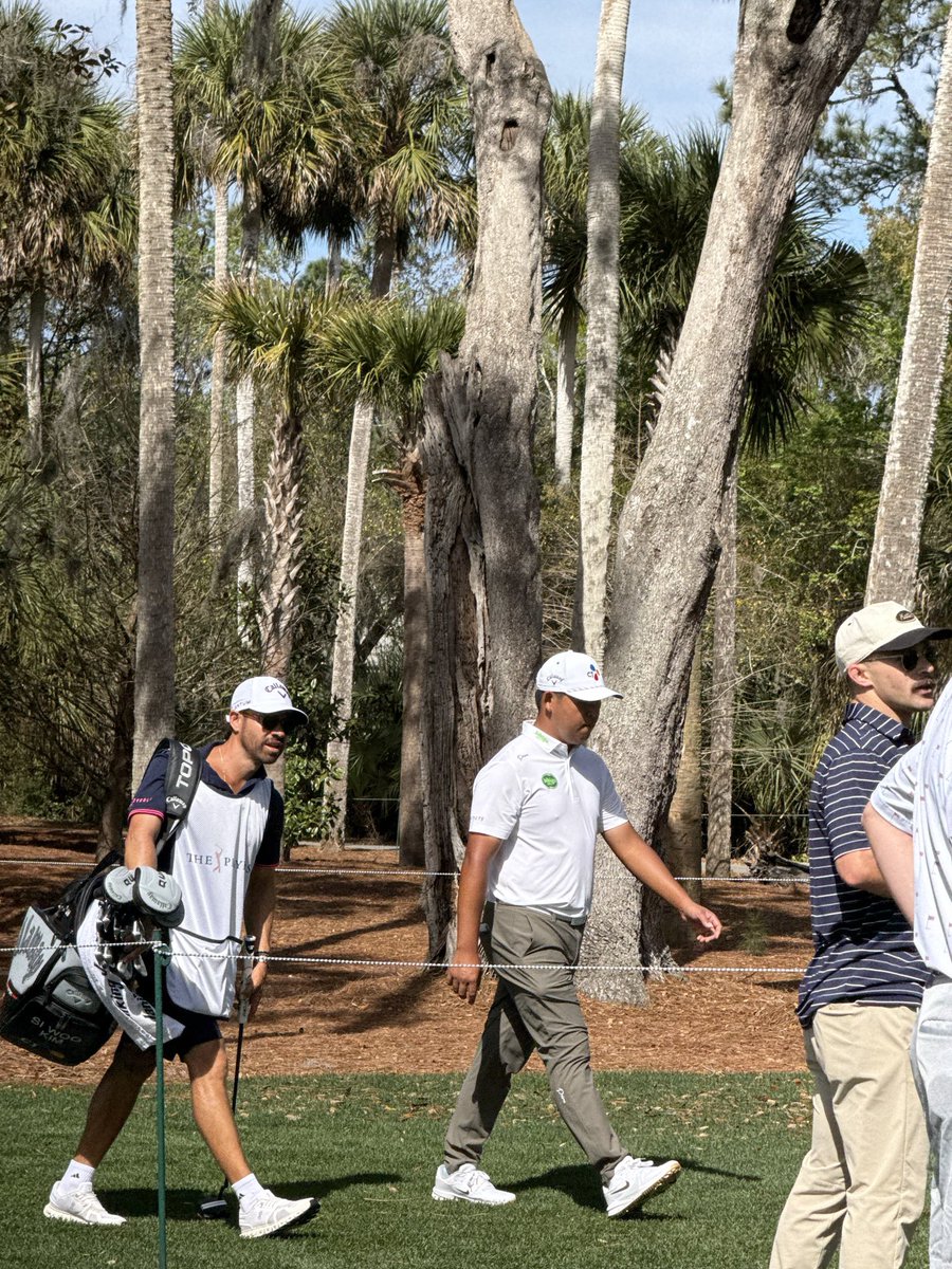 Book It With Tuttle tweet media