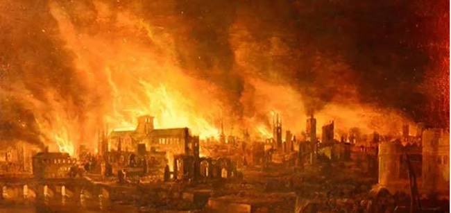 feedmycat tweet media