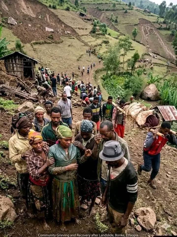 AlexGmariam's tweet photo. 💔 Deeply saddened by the catastrophic landslide in Ethiopia’s Gamo zone. Over 100 lives lost, millions mourning. My thoughts and heartfelt sympathy are with all those grieving this immense tragedy. #Gamo #Solidarity #Tassatanamo https://t.co/ymy4qNpnaq