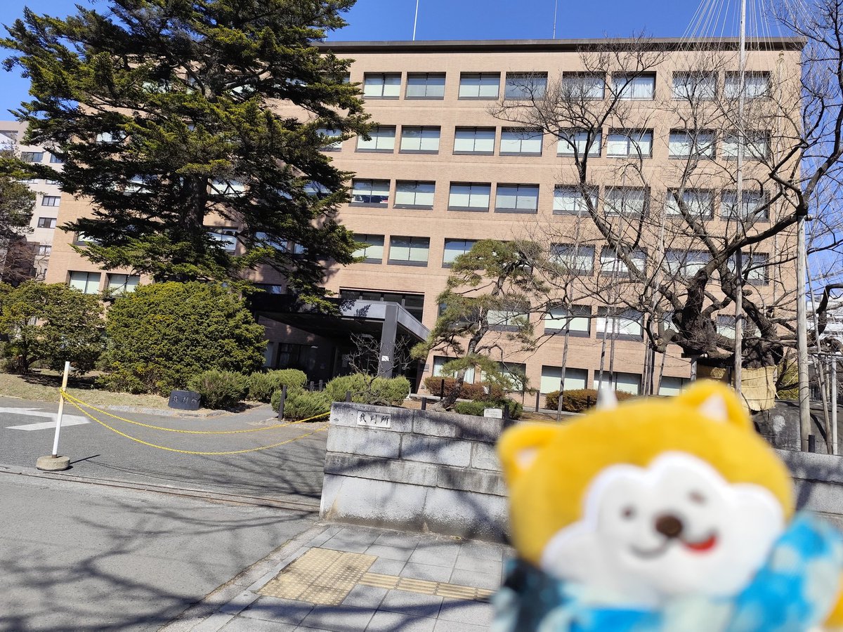 仮面ライダースーパーライブ
見てきました👍👍👍👍👍