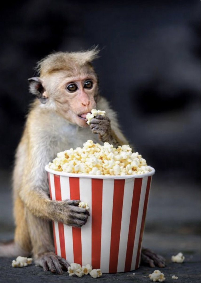 “Con la boca es un mamey”
                       El Filósofo