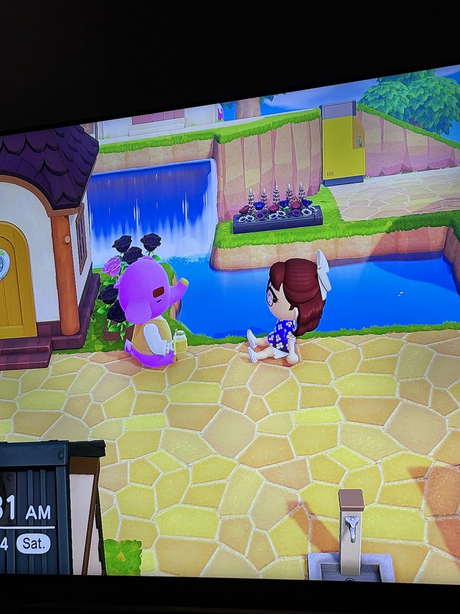 Sam Utter tweet media