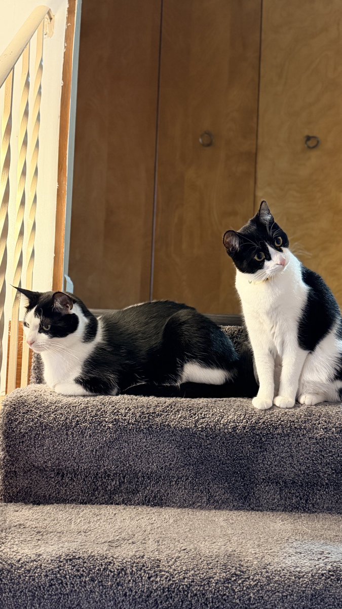 Gina Wilkolak tweet media