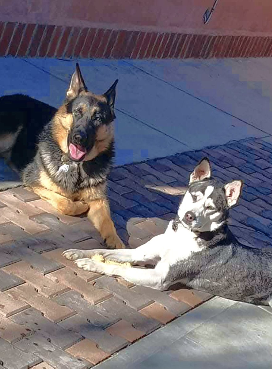 True E. GenX🌸UGC tweet media