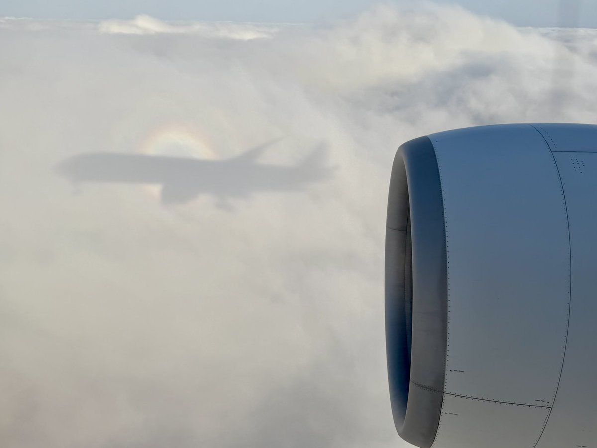 HartfordRob tweet media