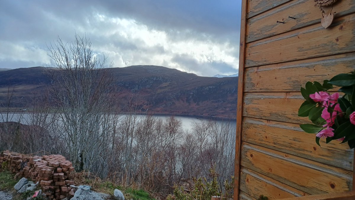 KatharineD tweet media