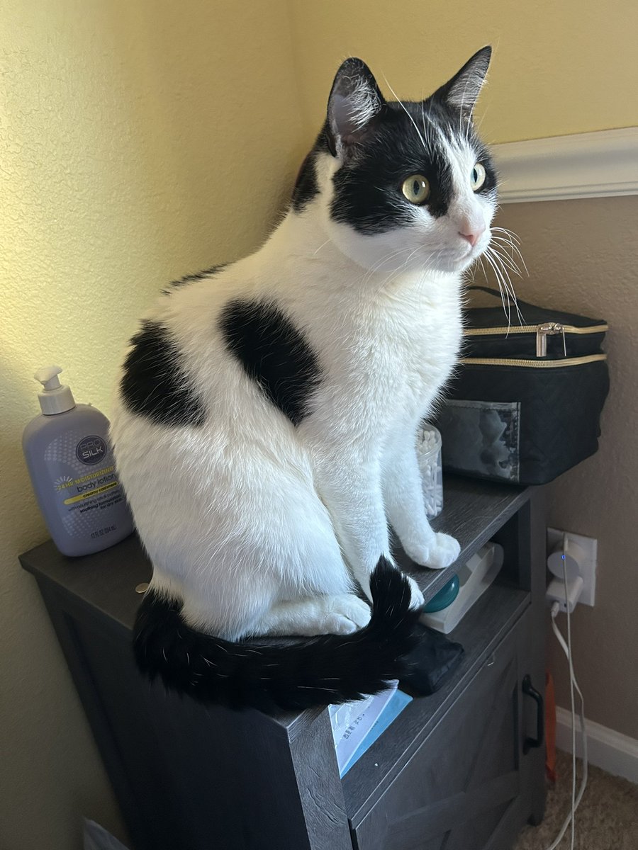 Sandipantswtf tweet media