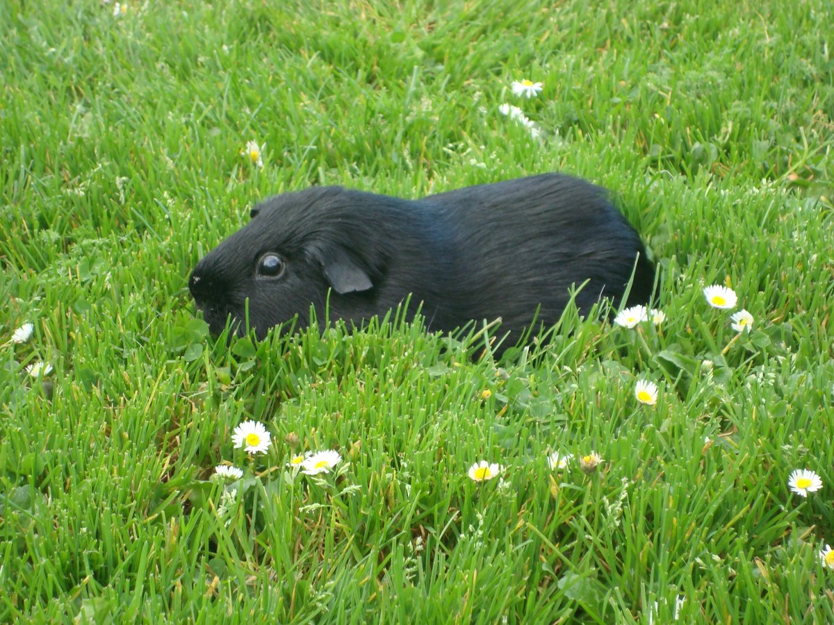 NaturallyGin tweet media