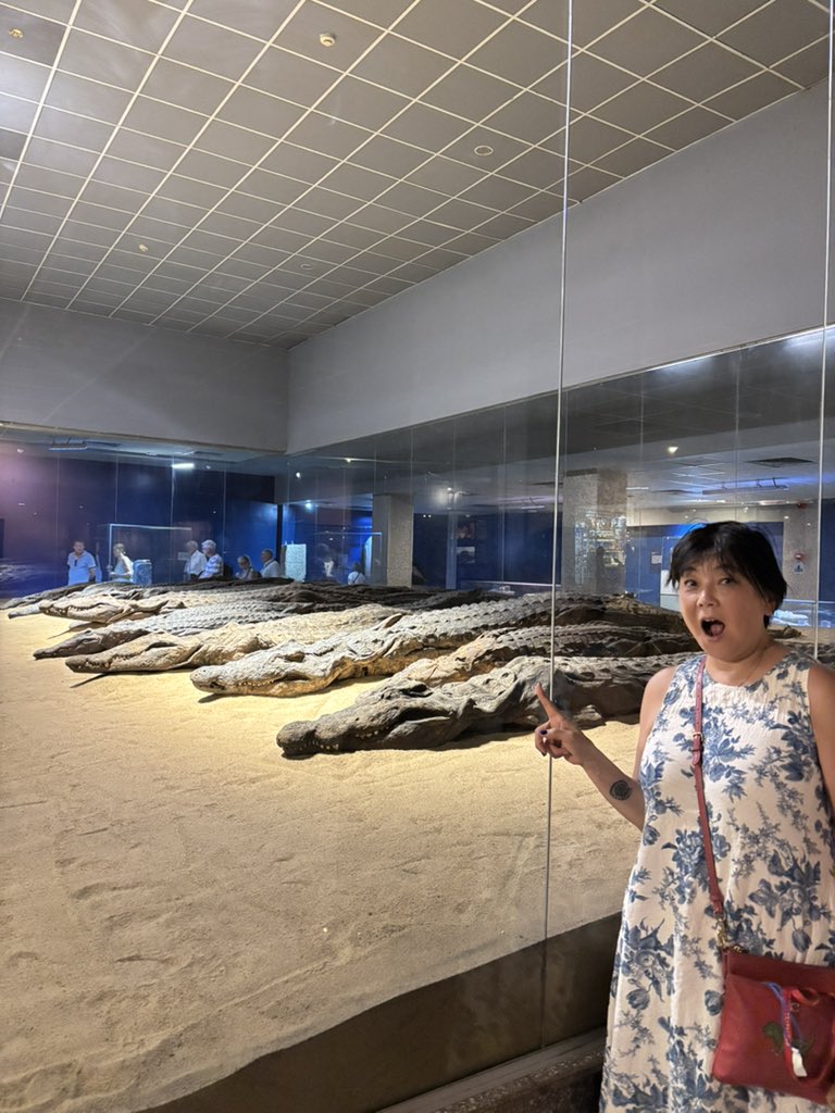 Temple of Kom Ombo.  Built during 180-47 BC (Greek period), people worshipped two Gods - good Horace (sky &amp; protection) and bad Sobek (fertility).  Mummified crocodiles show that people worshipped them 🐊