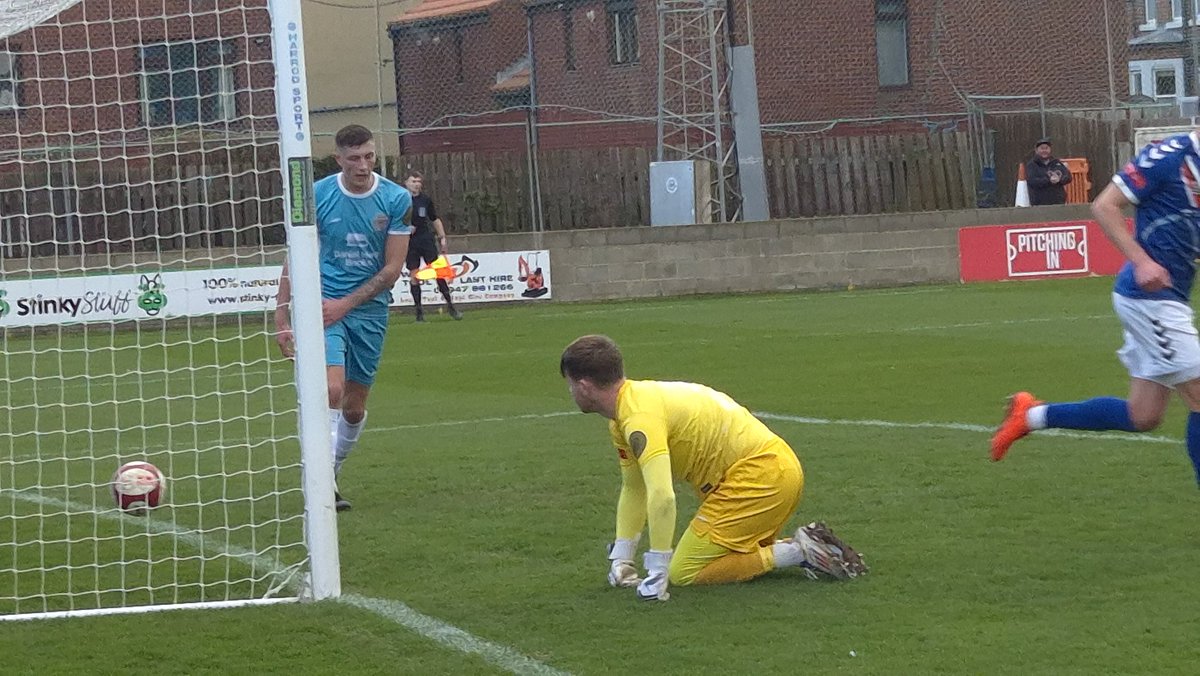 Steven holliday tweet media