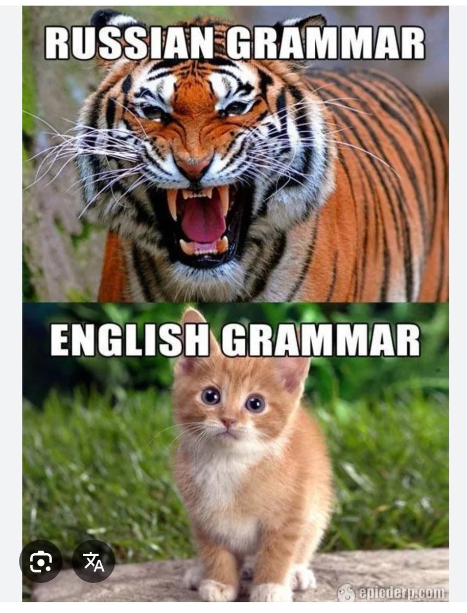 Я оба изучают русский и английский языки... и что думаю я о грамматике?