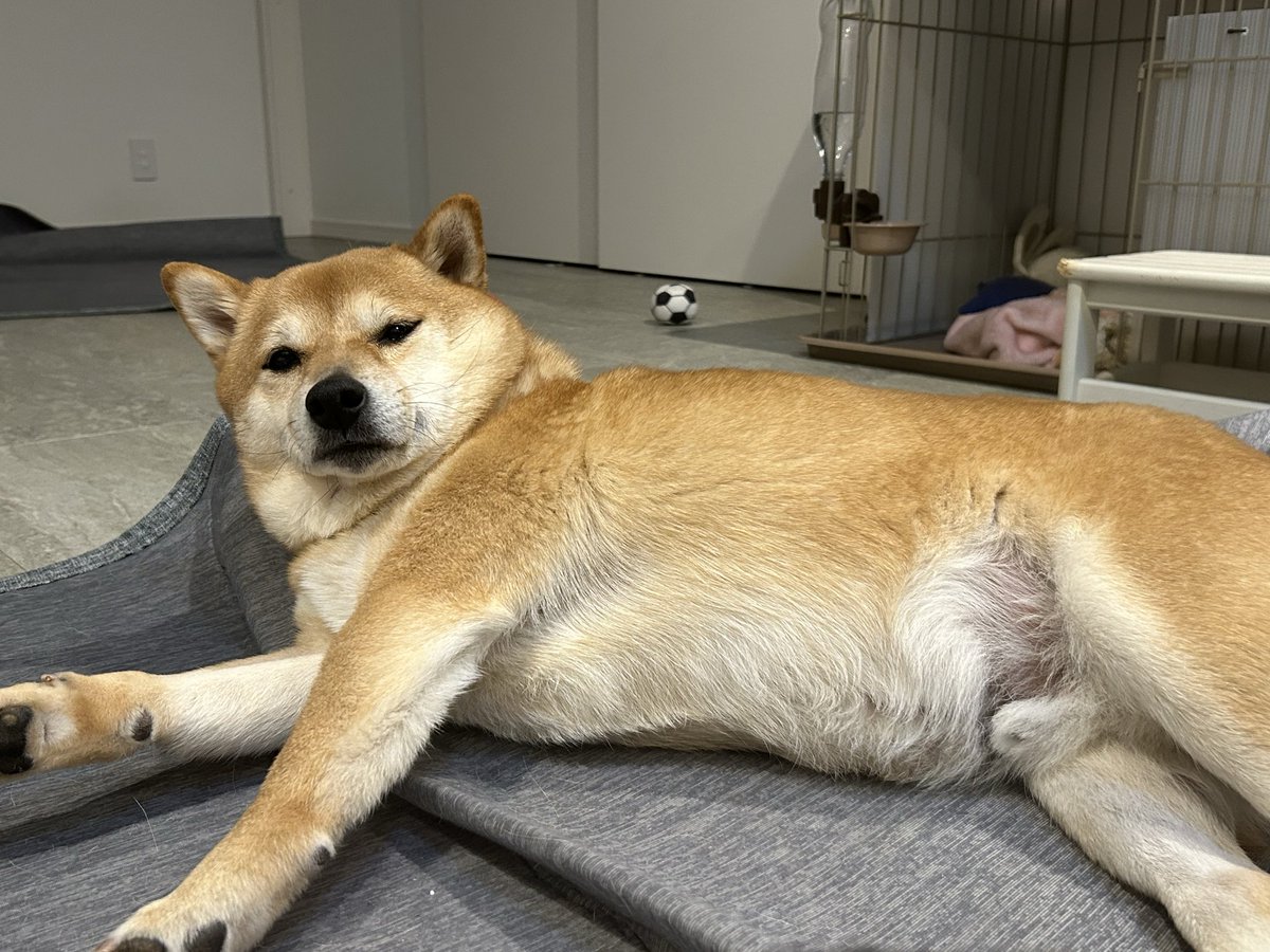 chama_0913's tweet photo. ちゃまキレてます？ https://t.co/8AfBlv70Ua