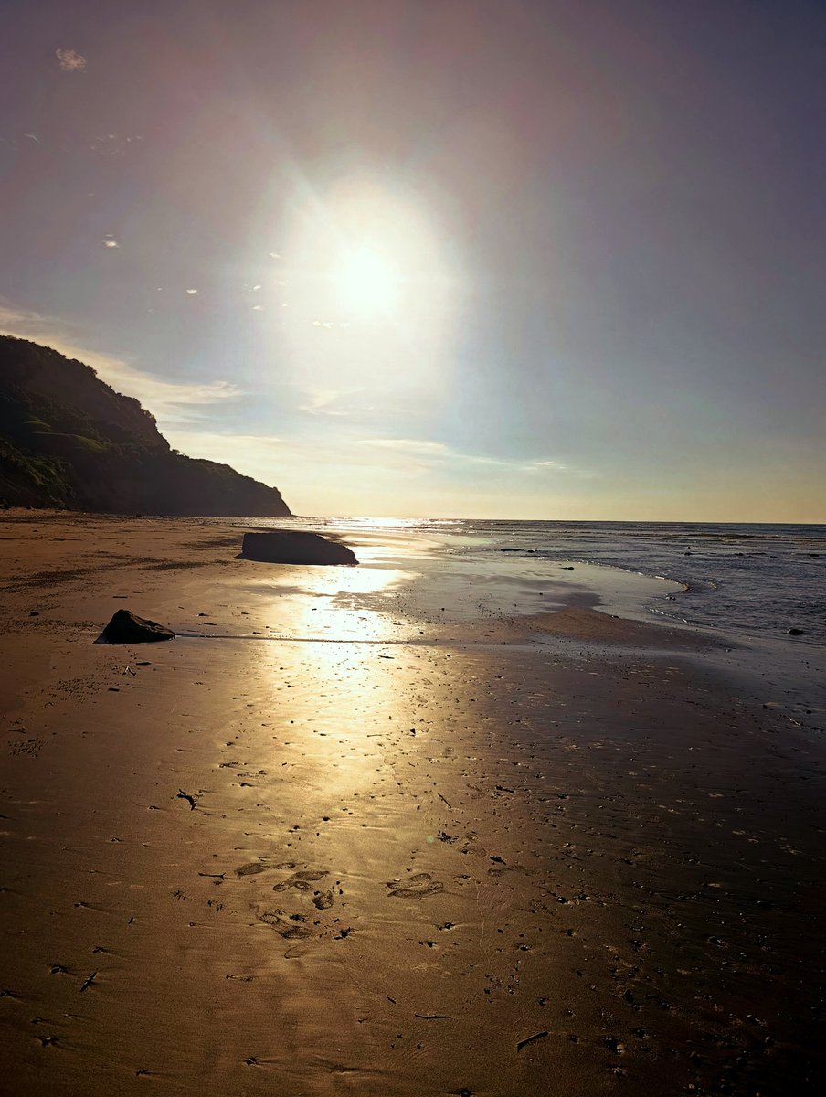 AnyWayInTheSway's tweet image. I let myself fall
cascading into the current
every bit of me
flowing through the fingers
of eternity
the hand that catches me
engulfs me with warmth
and sunshine
then lets me free
to wander along the banks
of my mind
to dip my toes in my insanity
occasionally 
#vss365 #warmth